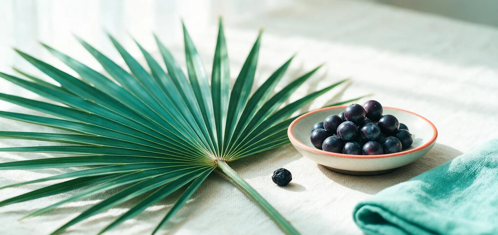 Saw Palmetto for Women: Does It Help Bladder Control?